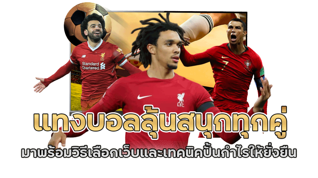 ufa8778 มาพร้อมวิธีเลือกเว็บและเทคนิคปั้นกำไร